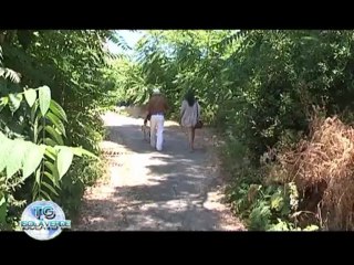 TG ISOLAVERDE EDIZIONE DI LUNEDI' 1 LUGLIO