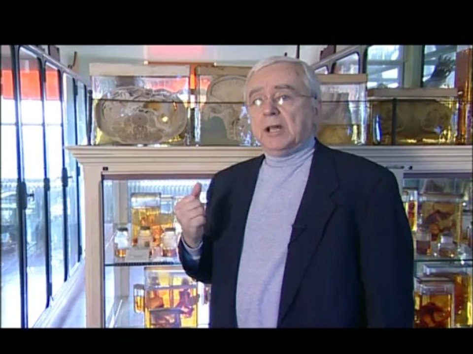 La passion des Boules de Neiges