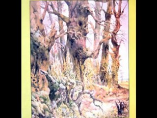 Booze Hoister Band "I Must And I Will Get Married"1980 Dutch Private Folk