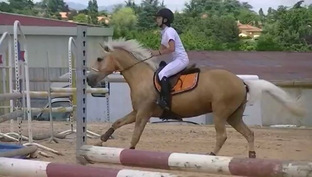 Aline et Roumba. cso 105cm grange neuve