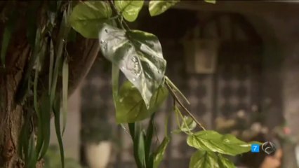 MARTIN Y ROSARIO MOMENTAZO ESDPV 01-07-2013