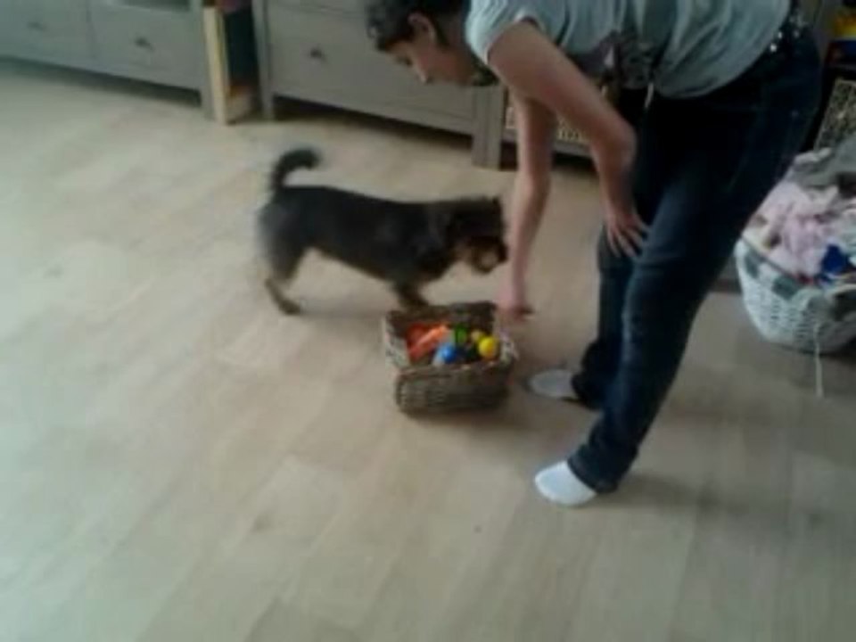 Max range ses affaires