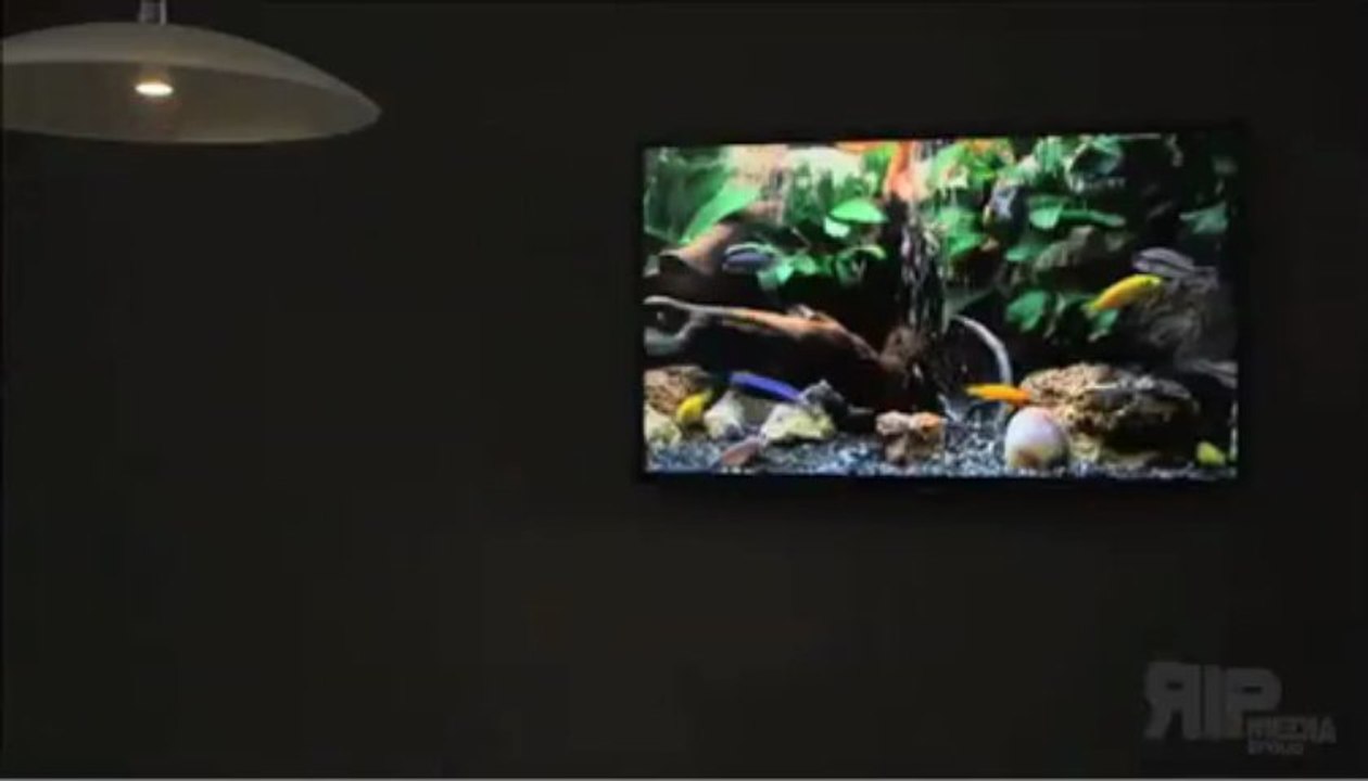 Live Action Video: Home Pilot