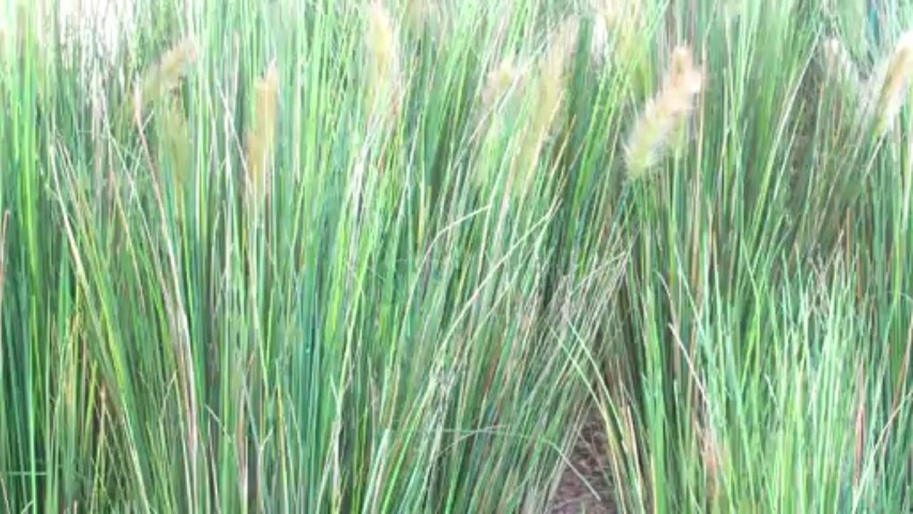VID_20130622_180630