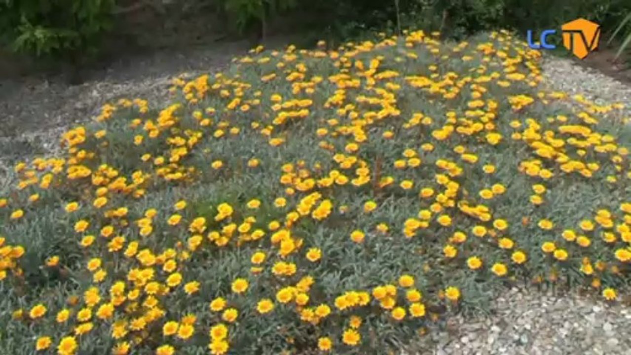 LCTV - Zoom sur mon quartier : La Ciotat Sainte Marguerite - Les plages