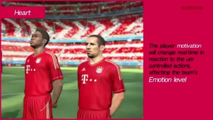 Jardins, Jardin : le bambou se fait utile