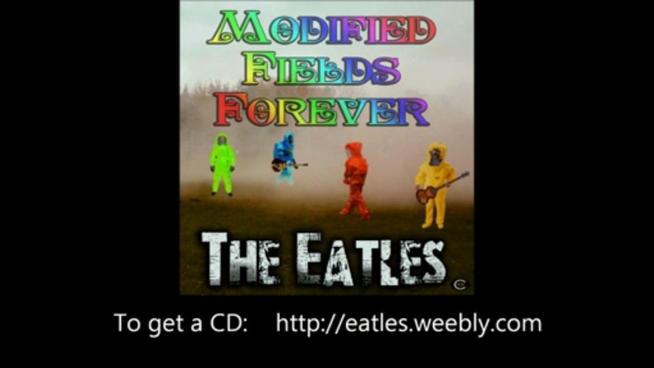 Modified Fields Forever... (with lyrics)