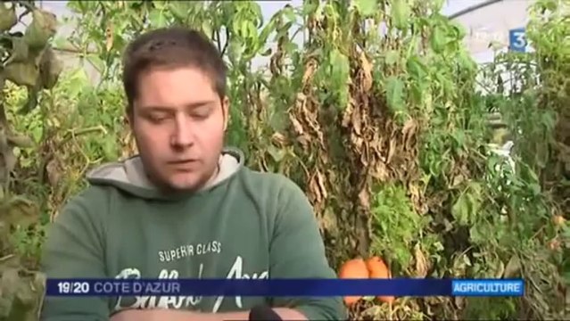 2012-11-15 - FR3 Cote d'Azur - Jeunes Agriculteurs dans le 06