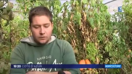 2012-11-15 - FR3 Cote d'Azur - Jeunes Agriculteurs dans le 06