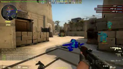 CS: GO Aimbot!