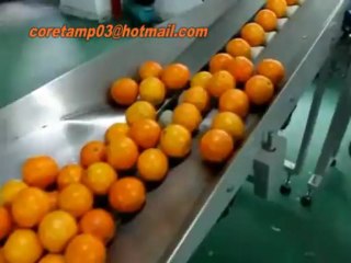 fully automatic packing machine
