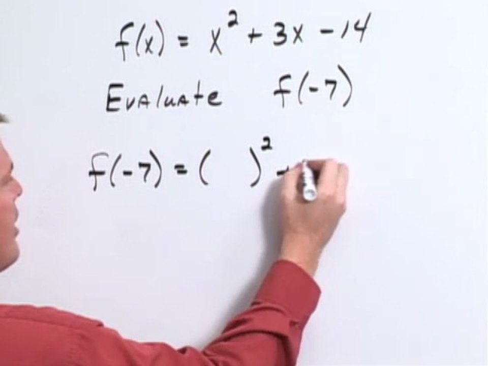 Evaluate Polynomial Function