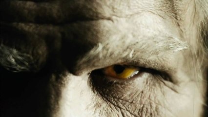 The Spiderwick Chronicles