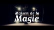 "Illusions à  quatre mains" - spectacle de la Maison de la magie - 2013