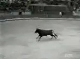 azgın boga www.sesliafacanlar.com www.sesliafacanlar.net