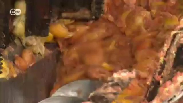 Carbon-neutral juice production in South Africa | Global 3000