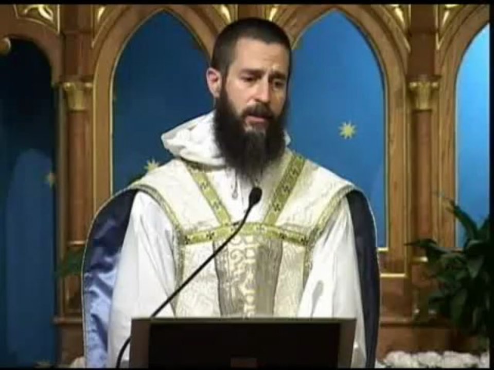 Jul 02 - Homily: Mary Brings Us The Word Of God