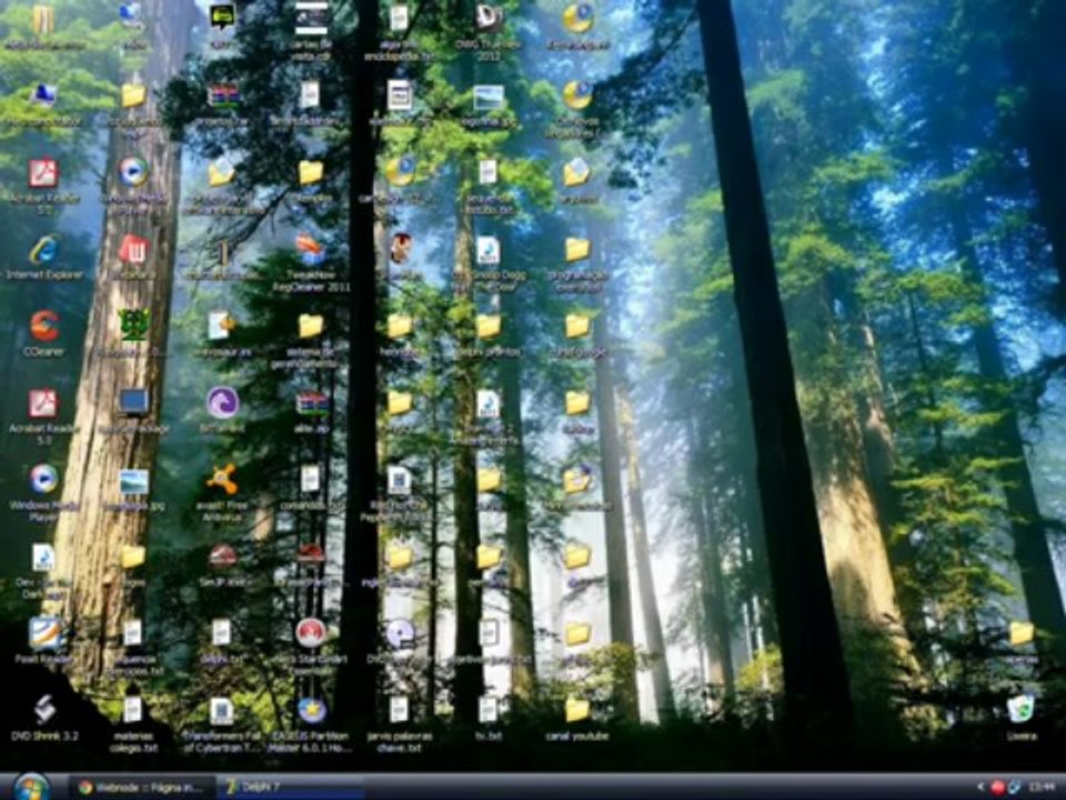 Baixar Gratis Assistente Virtual Denise Portugues   2013
