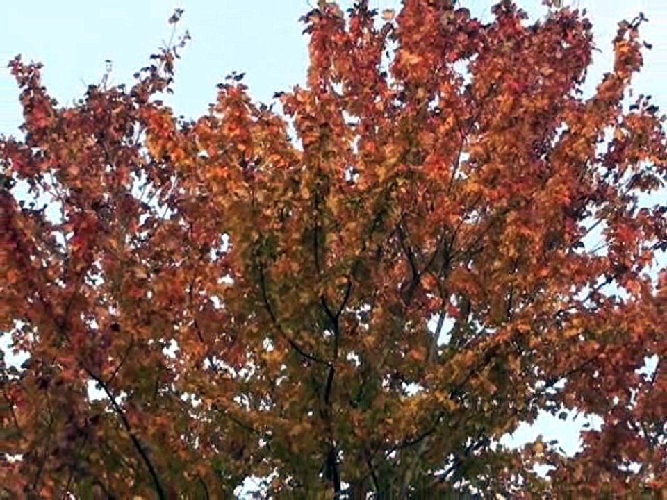 Field & Stream's Hook Shots, Season 2 Ep. 8: Fall Blitz, Jersey Style