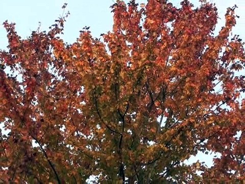 Field & Stream's Hook Shots, Season 2 Ep. 8: Fall Blitz, Jersey Style