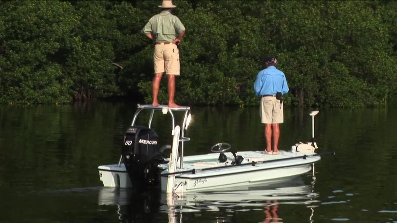 SFTV: Everglades Magic Part 1