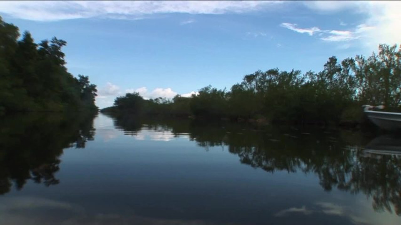 SFTV: Everglades Magic Part 3