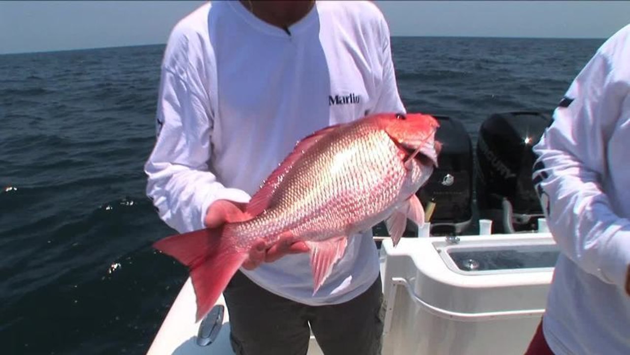 SFTV: Gulf Bottom Time Part 4