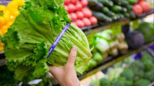 Alimentos Para Quemar Grasa: Cuales Son Los Alimentos Que Nos Ayudan Para Quemar La Grasa