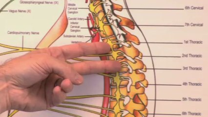 Video Campaign 7 you enjoy this video campaign. This is for testing and only for the developer.