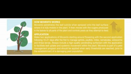 Movento Insecticide - Potato Advertorial