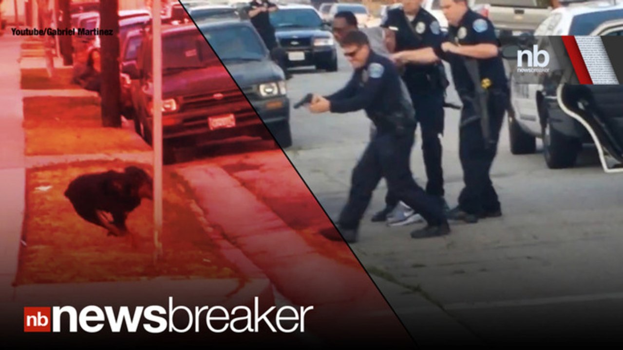 DOG GUNNED DOWN: Horror as Police Shoot Suspect’s Dog in the Street (WARNING: GRAPHIC)