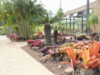 MAUI, HAWAII  2013 131