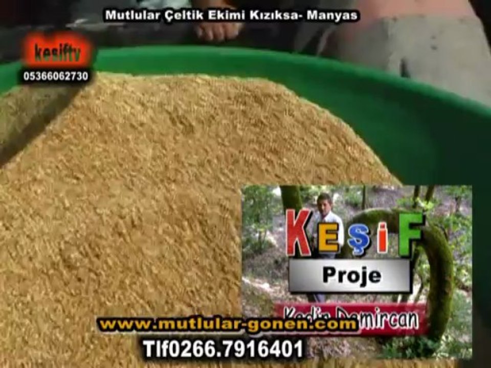 çeltik-ekimi-mutlular2013-kızıksa-murat-dal-www.mutlular-gonen.com