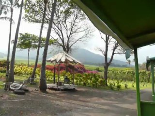 MAUI, HAWAII  2013 022