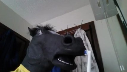 Un cheval se brosse les dents