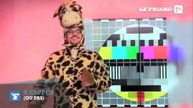 À Zapper (ou pas) : N'oubliez pas les paroles et Ces animaux qui nous font rire (vendredi 5 juillet)