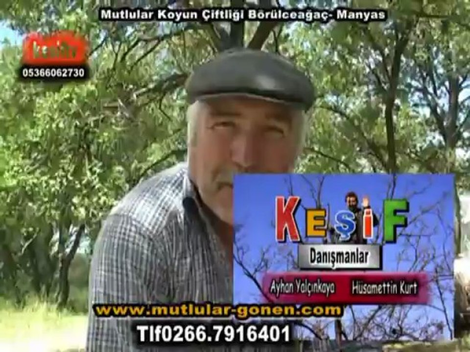 mutlular-börülceağaç-salır-manyas-koyun-sayasıvekırkım-www.mutlular-gonen.com