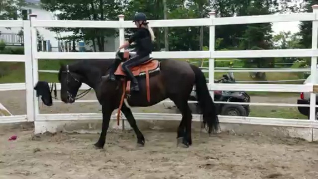 1ers pas en amazone: Chantale et Radja, Hongre canadien, formés par Samuelle Ducrocq-Henry, instructrice en amazone