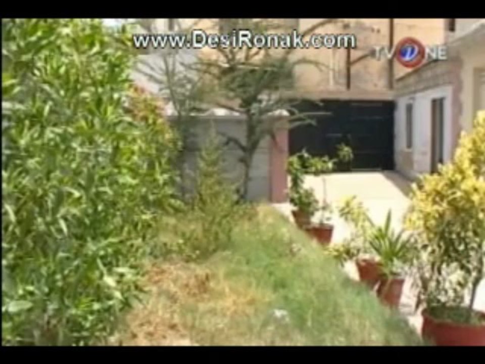 orangi 99