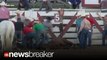 SHOCKED TO DEATH?: Animal Rights Group Claims Rodeo Caused Horse’s Demise