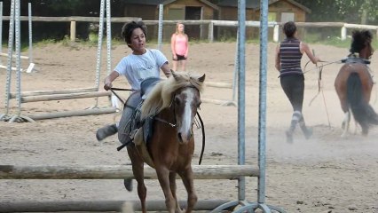 poney longues rênes course