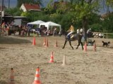 CI 2013_ Equigames Vindiou