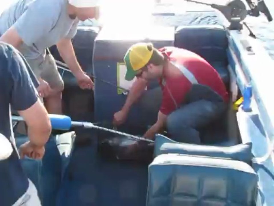 Chinook salmon (18,5 lbs), Lake Ontario, 2013-06-30
