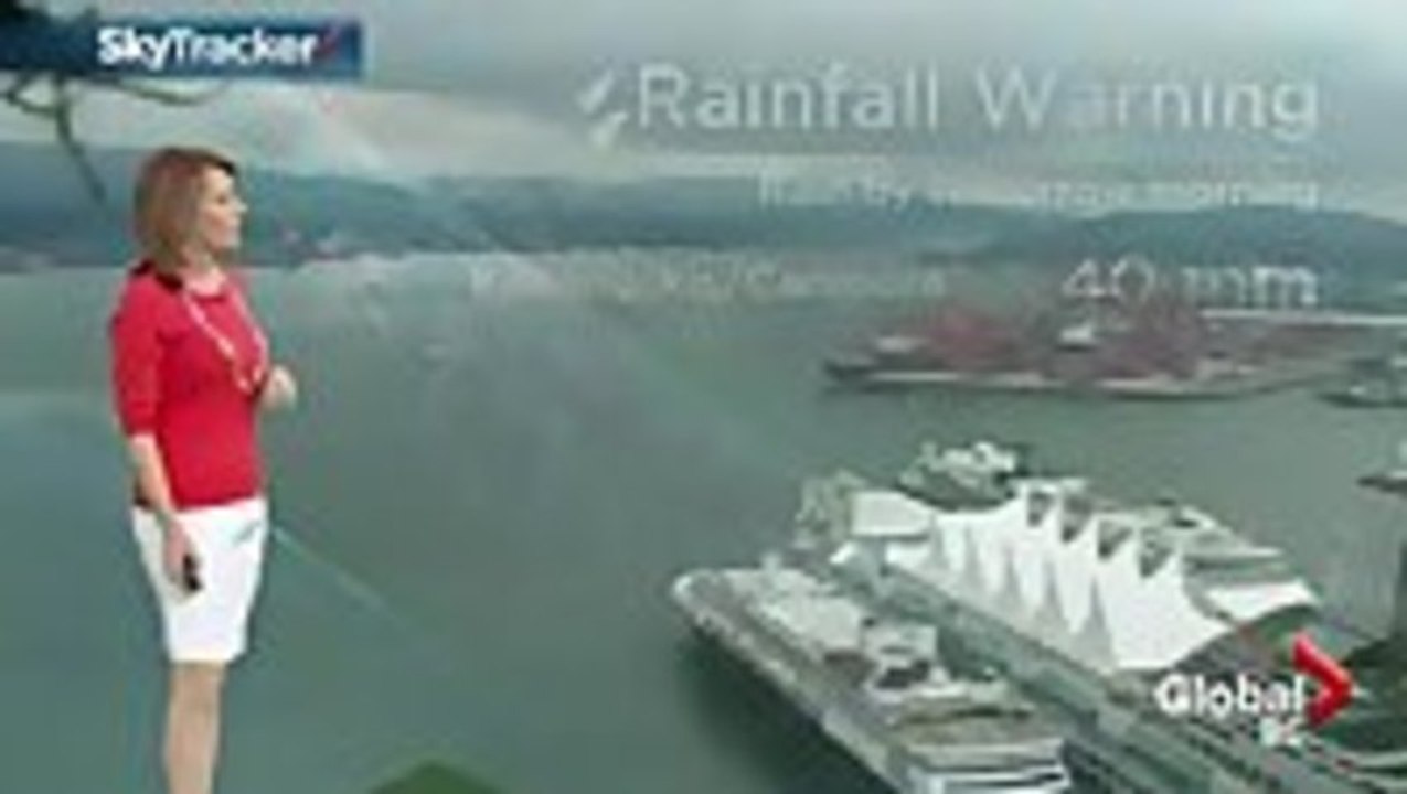 Weather Camera Spider Scares Weather Reporter