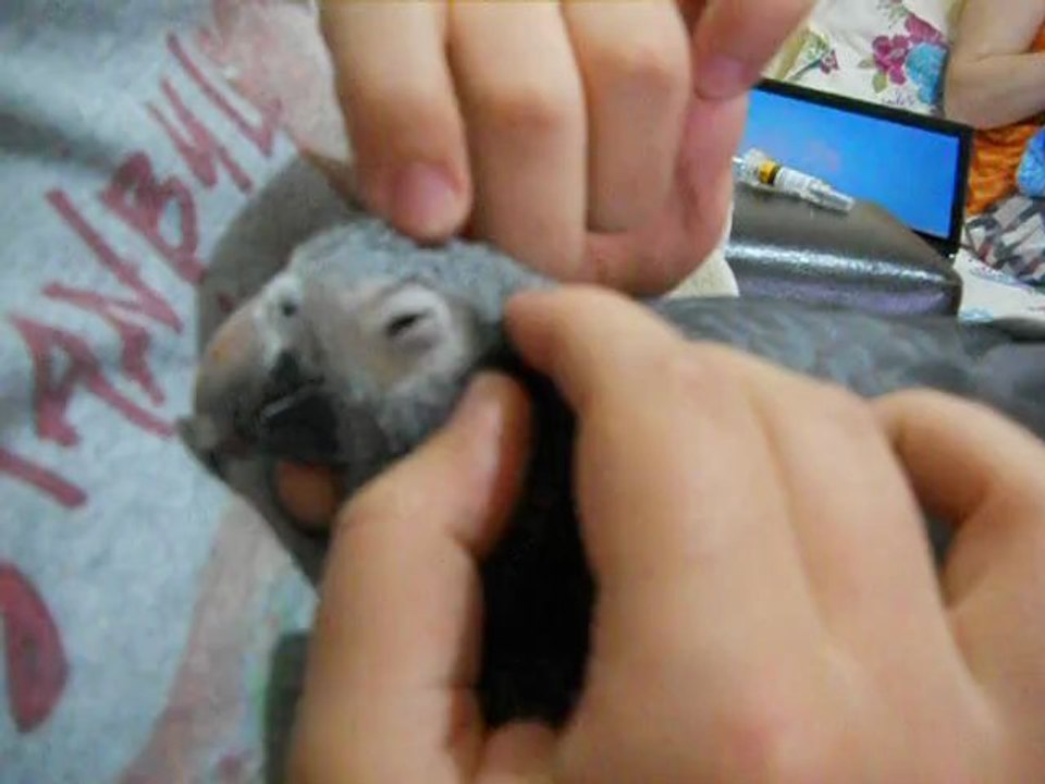 Son jakomuz :)