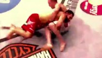 Johny Hendricks Highlights