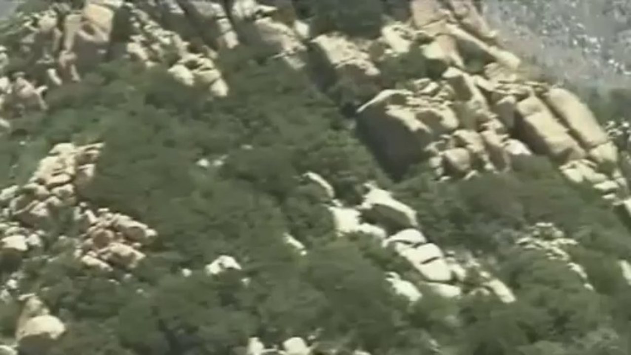 Another wildfire blazes in Arizona