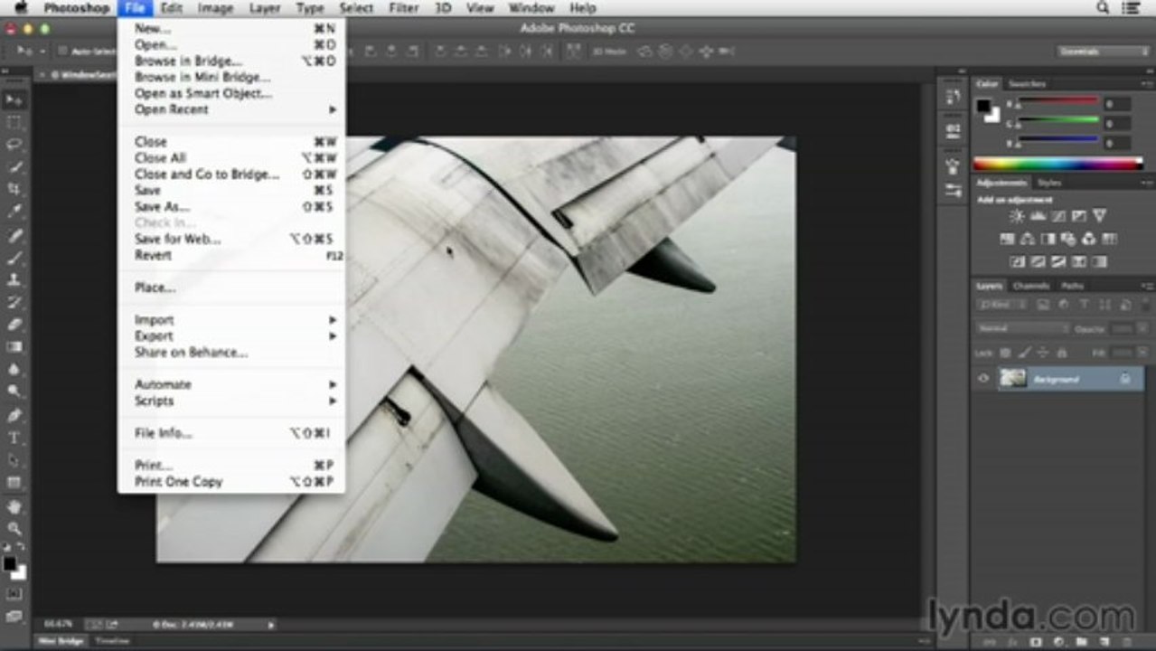 Photoshop.CC.Essential.Training_22_03_XR15_SaveForWeb
