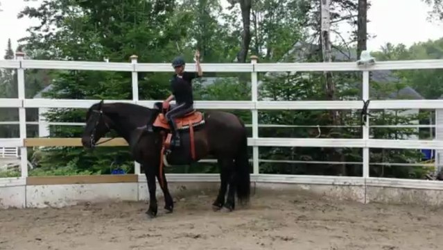 Descente de cheval en amazone: chantal et Radja au Haras Laurentien, 1er jour ensemble
