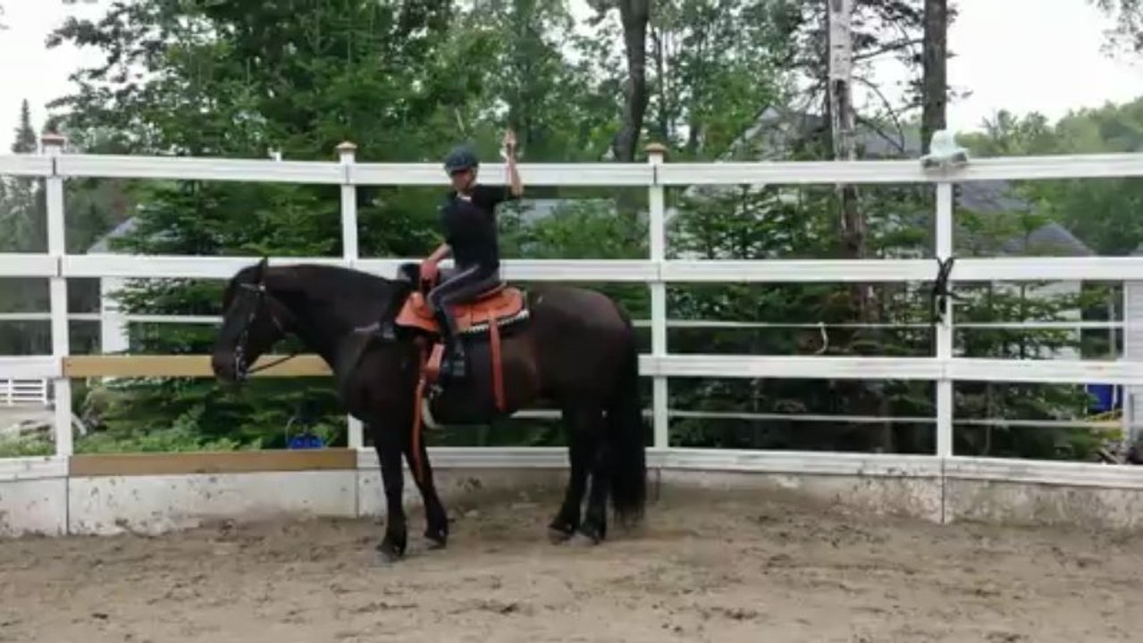 Descente de cheval en amazone: chantal et Radja au Haras Laurentien, 1er jour ensemble